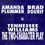 tennessee williams 39 the two character play tickets access new world stages seating chart stage 3